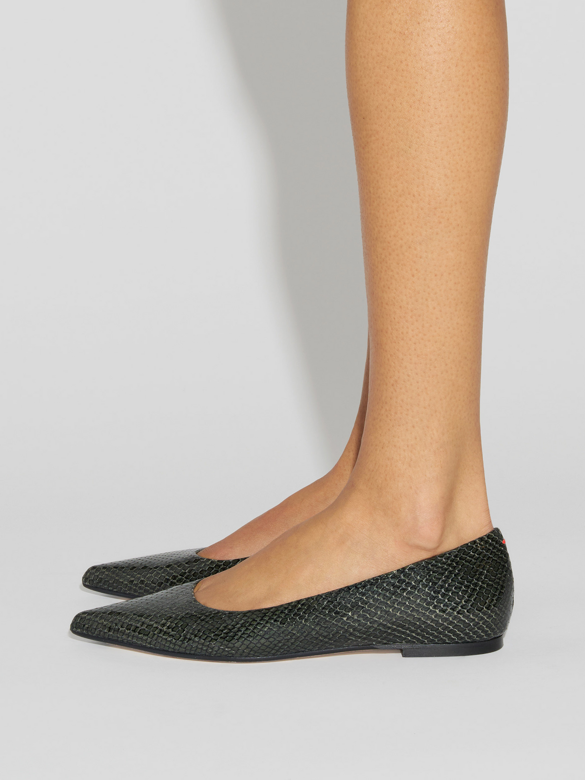 Cassy Pointed-Toe Flats
