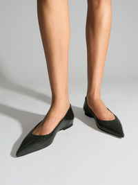Cassy Pointed-Toe Flats