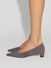 Judi Suede Pointed Pumps