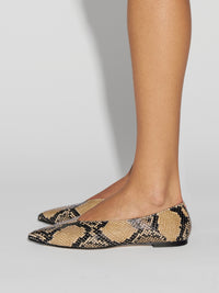 Moa Pointed-Toe Flats