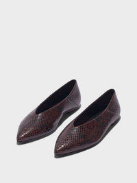 Moa Pointed-Toe Flats